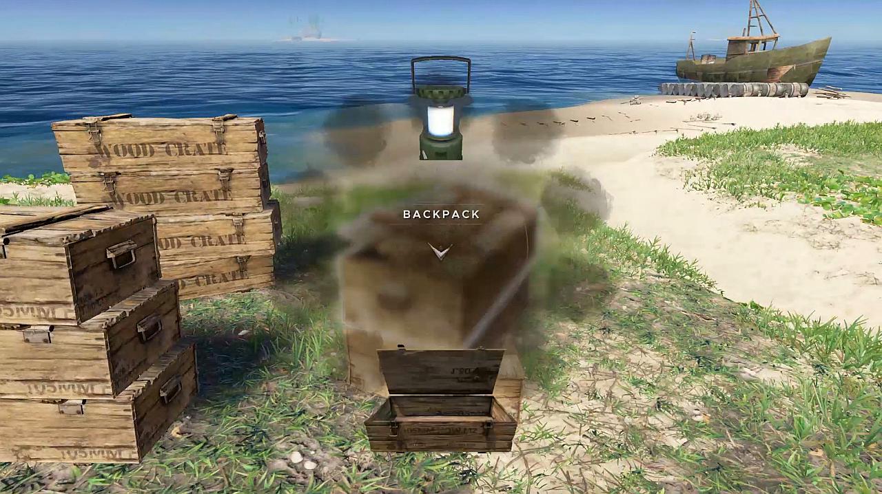 {網上賭場}(ps4荒岛生存类游戏推荐)