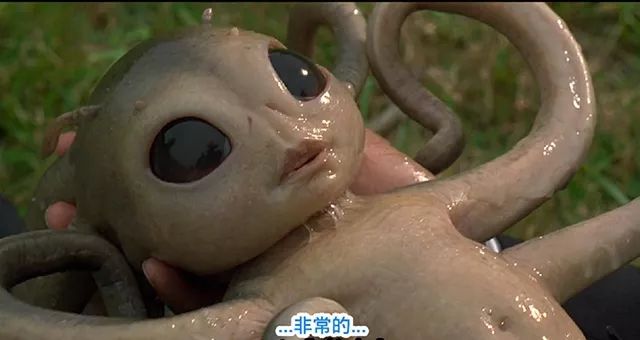 {線上賭場}(外星人长什么样子 真实) {線上賭場}(外星人长什么样子 真实)