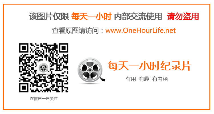 {捕魚機}(形容野外求生的四字成语)